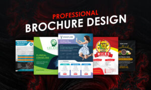 Brochure Design | Brochure Design Services by Freelance Brochure Designers | 24 Best Tri Fold Brochure Services